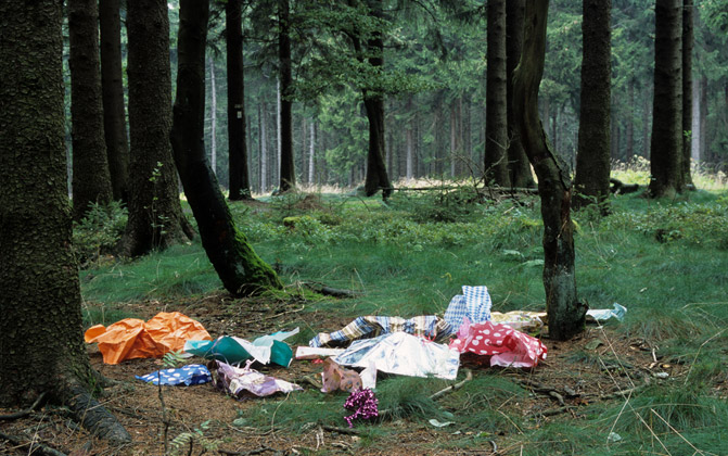 Taunus
